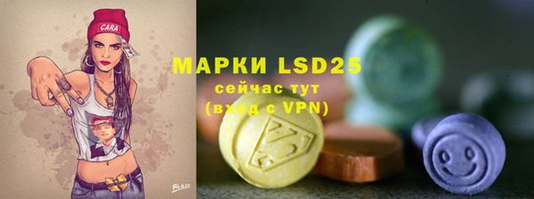 дурь Алексин