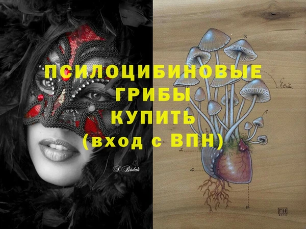 дурь Алексин
