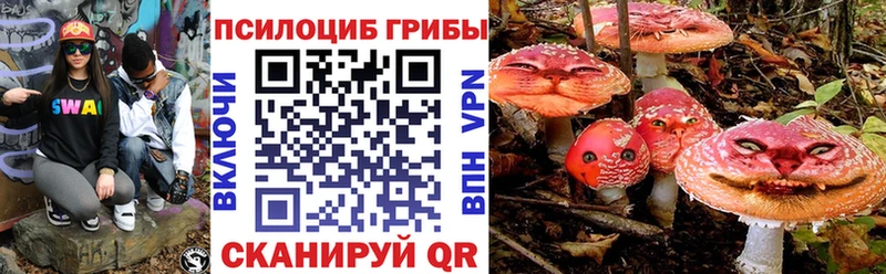 где купить наркоту Бикин Галлюциногенные грибы прущие грибы